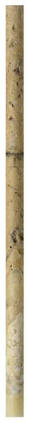 Antique Onyx Travertine Tumbled Pencil 3/4x12 - EACH