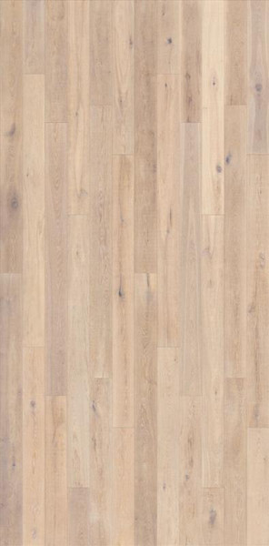 Wolf Grey Waterproof Laminate 10 mm with Pad 8x48 - CASE